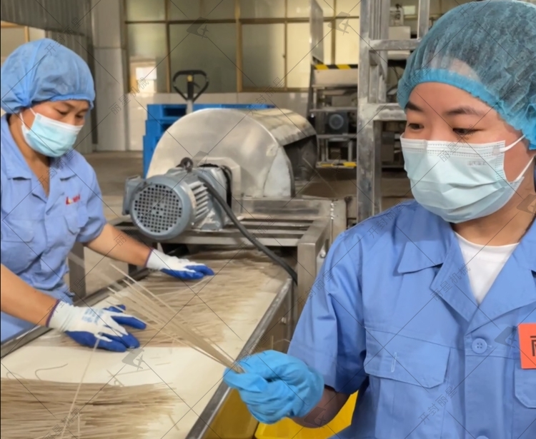 自動化粉條生產(chǎn)線工藝亮點與特點你知道哪些？